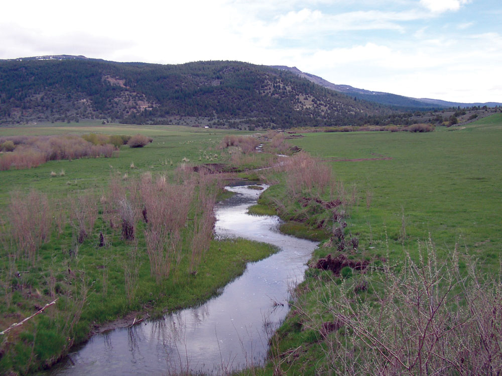 Willow Creek, tributary to Goose Lake