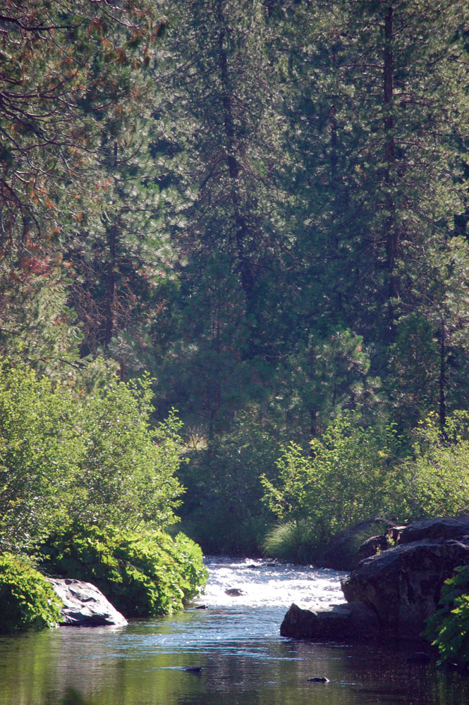 Upper McCloud River