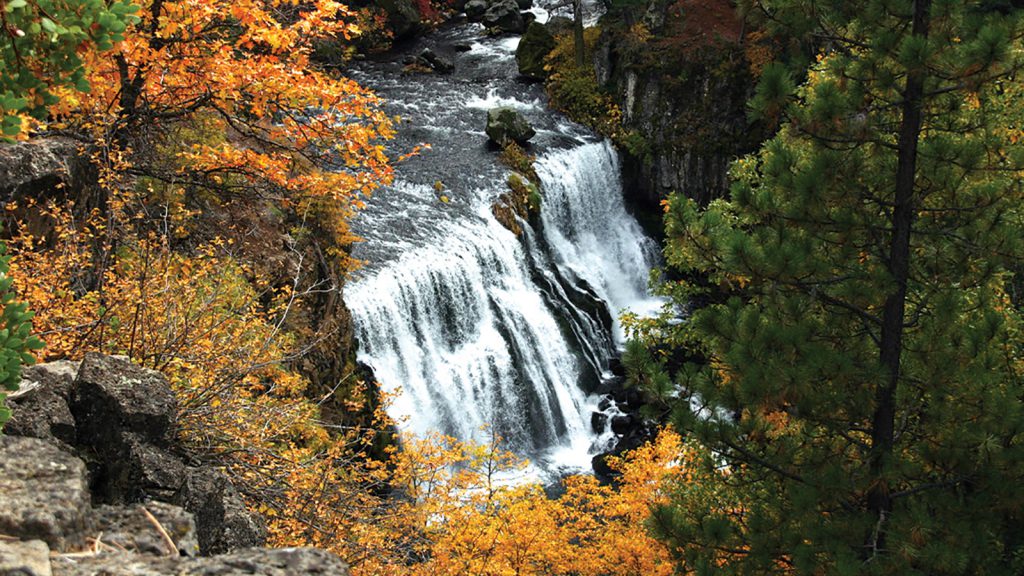 Middle Falls by Susan Stienstra Vance