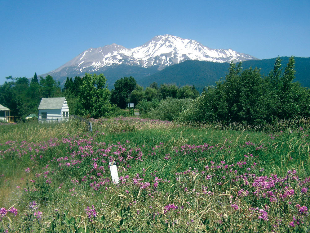 Mount Shasta and surrounding landscape