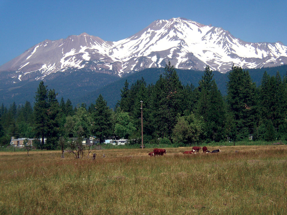 Rural area near city of Mount Shasta