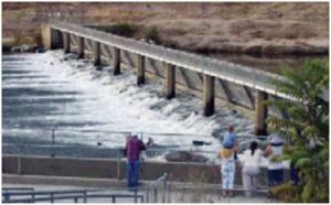 Nimbus fish weir