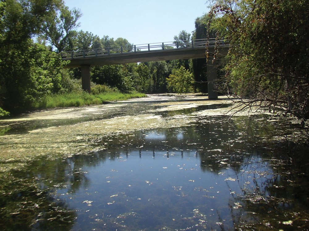Big Chico Creek near the Sacramento River confluence