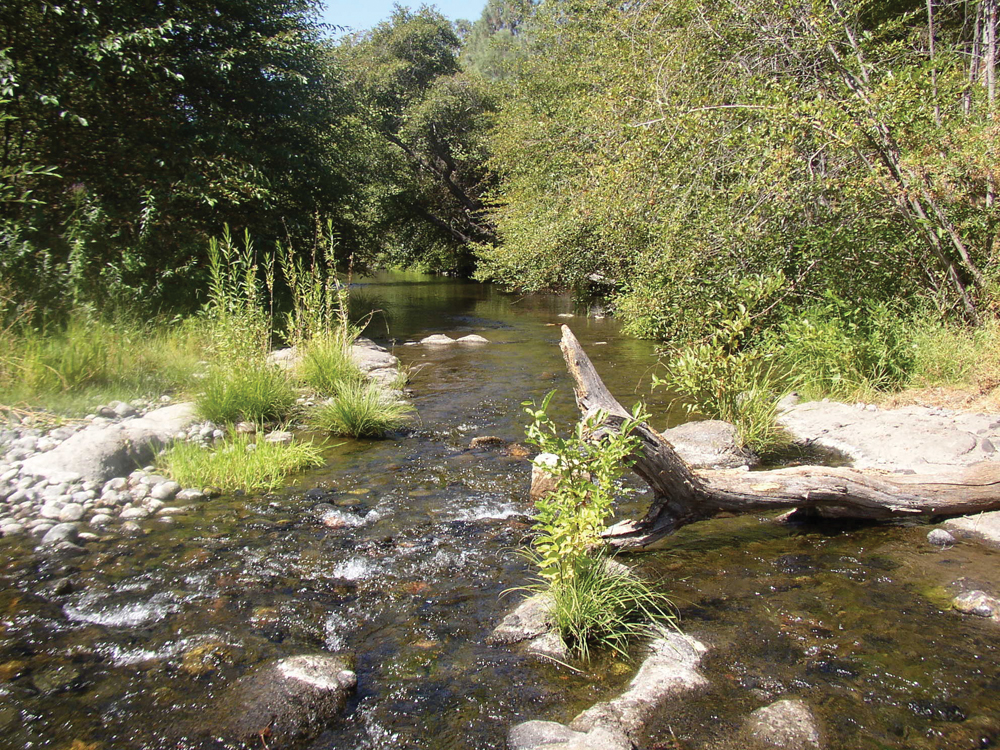 Big Chico Creek at Upper Bidwell Park