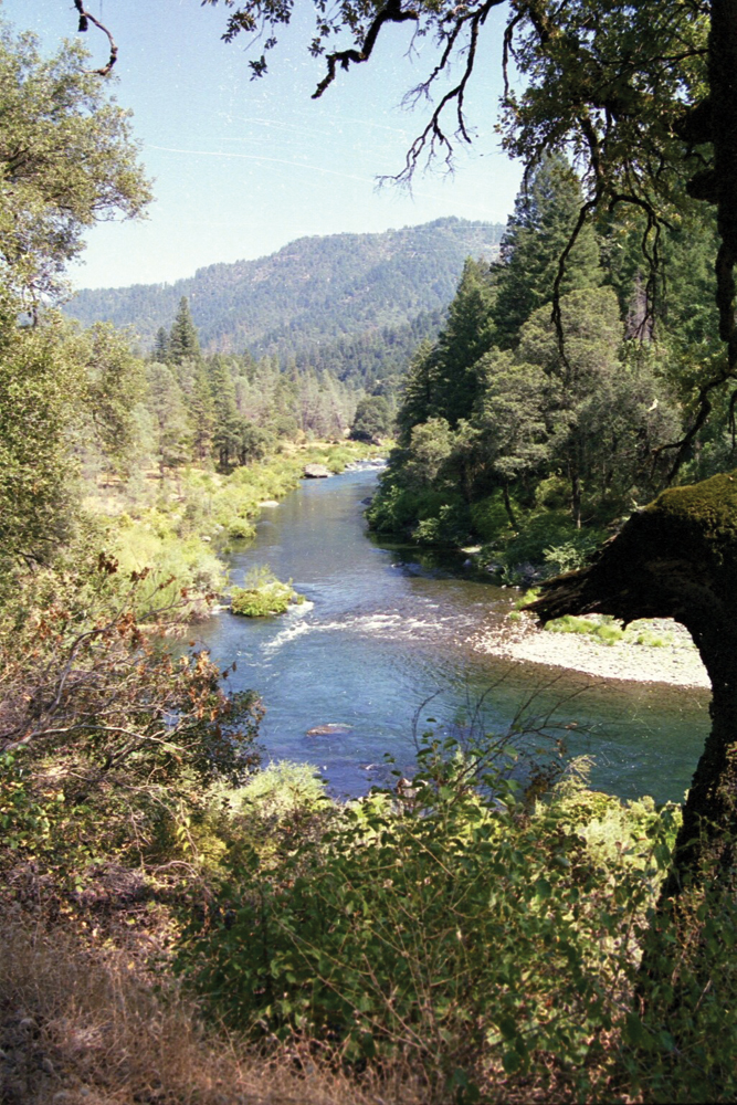 Forest and riparian lands along Upper Butte Creek