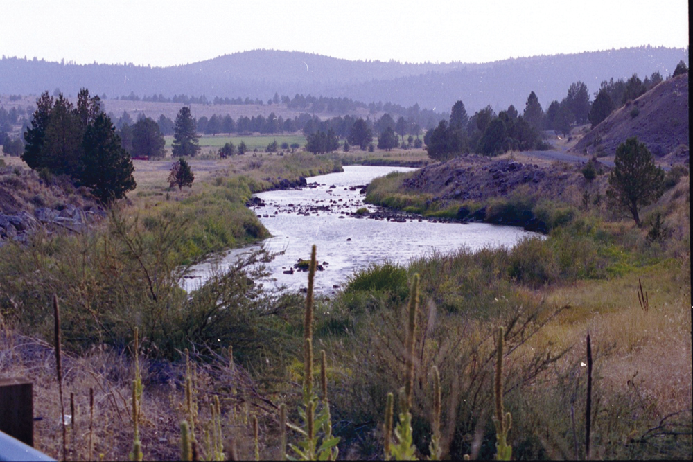 Butte Creek near Chico