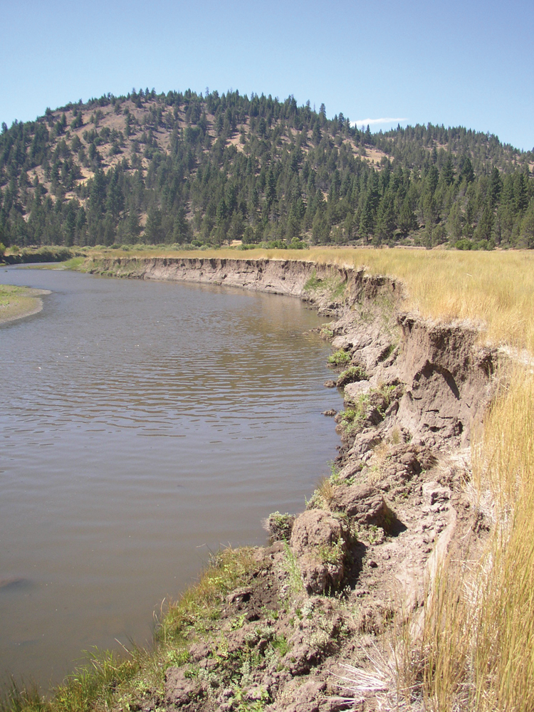Channel erosion on upper Pit River