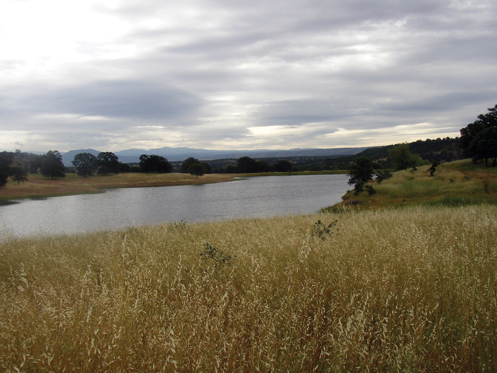 BLM area, stock water and recreation pond
