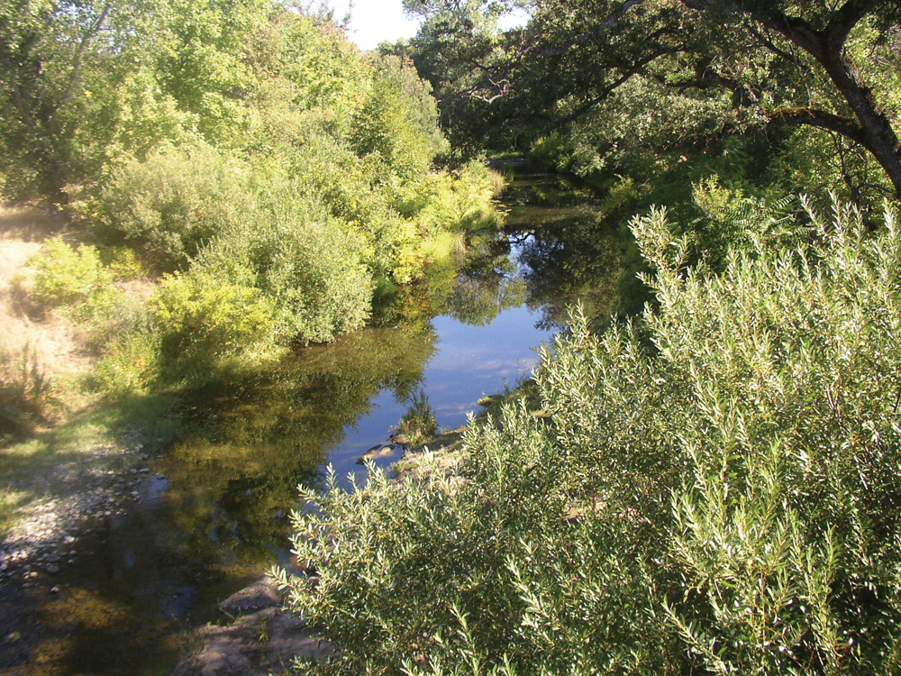 Bear Creek near the Sacramento River confluence