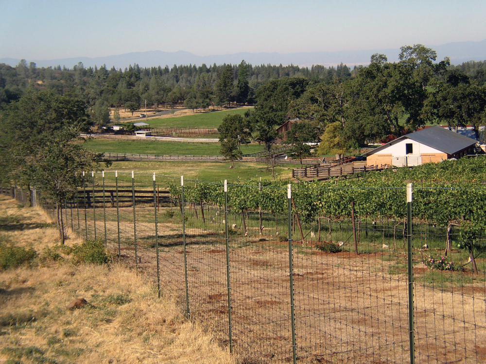Bear Creek ranch land and vineyard