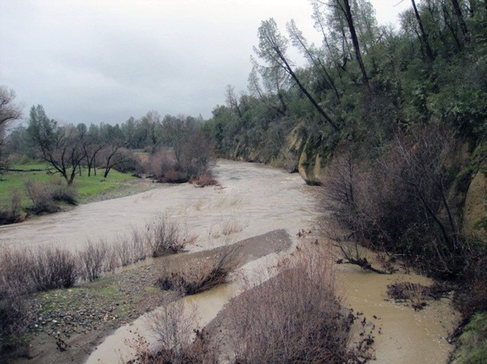 Spring runoff in lower Cottonwood Creek