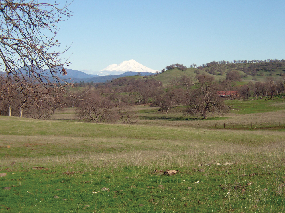 Foothill oak and rangeland, with Mount Shasta backdrop