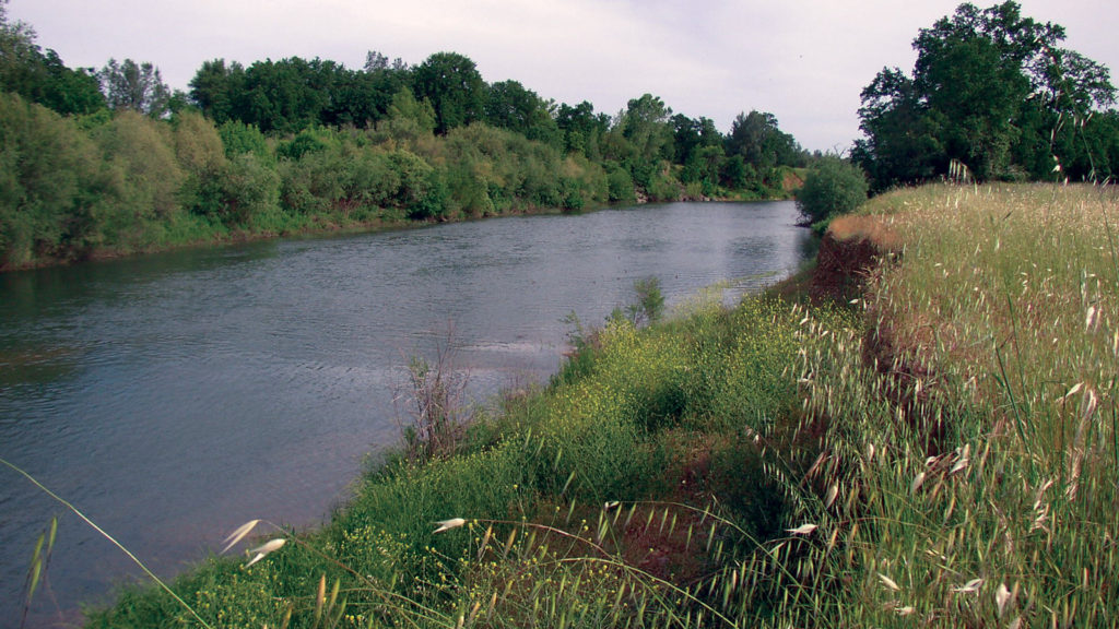 Lower Cow Creek near the town of Palo Cedro