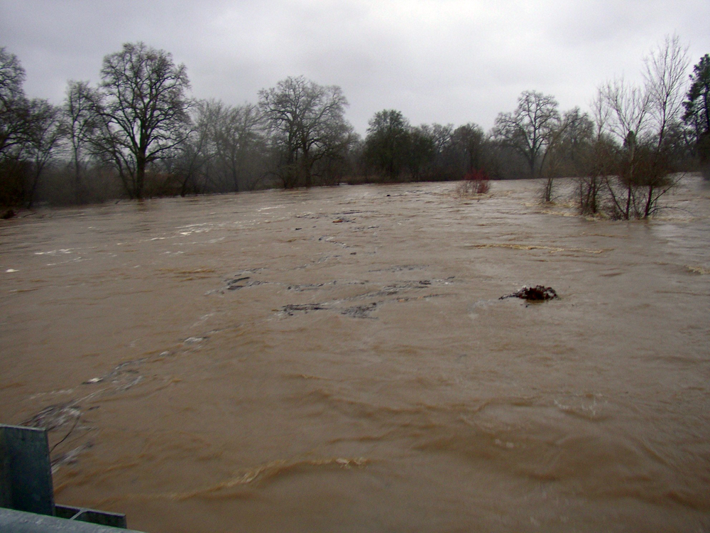 December 2008 flood flow in North Cow Creek