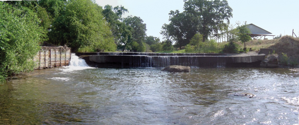 Fish passage problem (Millville irrigation dam on Clover Creek)