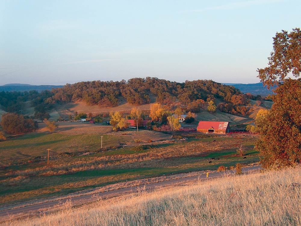 Cow Creek Watershed cattle ranch