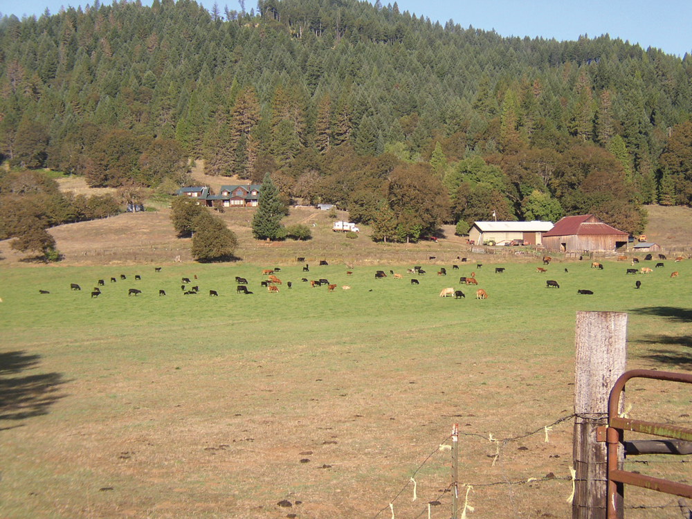 Lower Pit ranch and pasture land