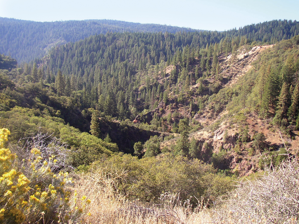 Uplands vegetation in the Pit River canyon