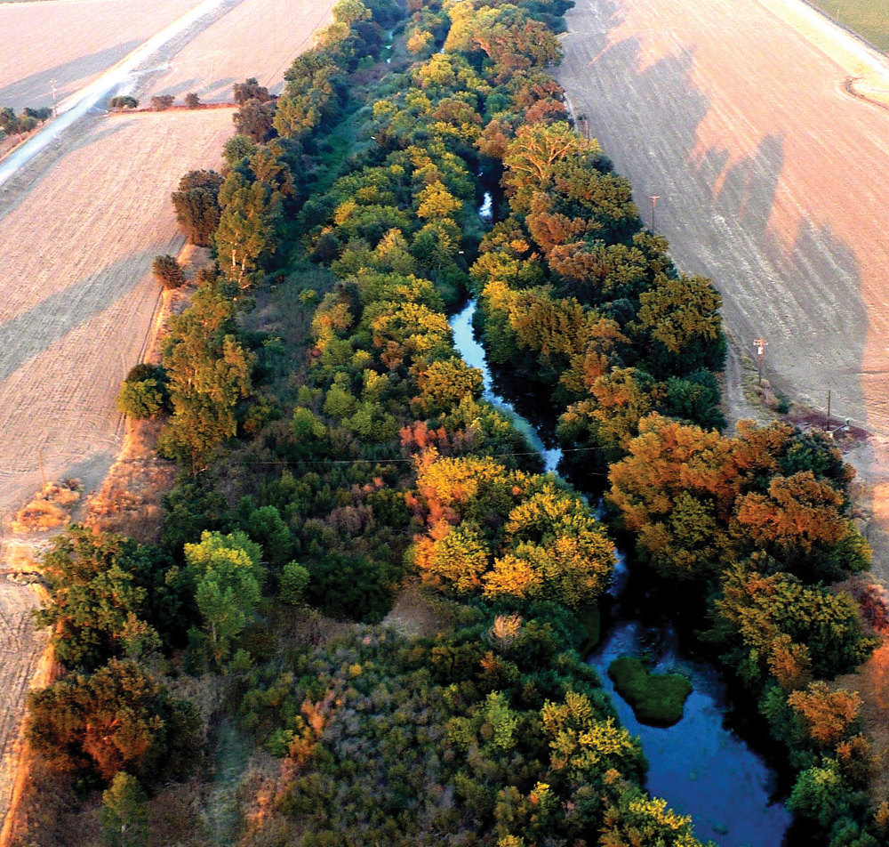 Aerial of Putah Creek