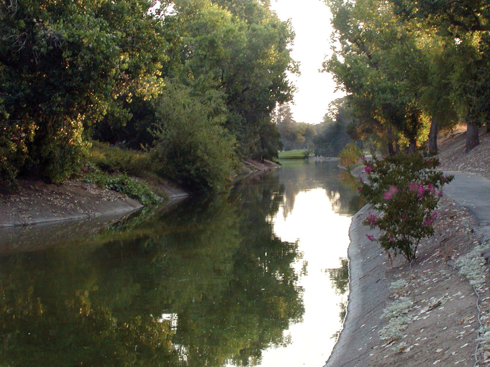 Putah Creek in UC Davis Arboretum