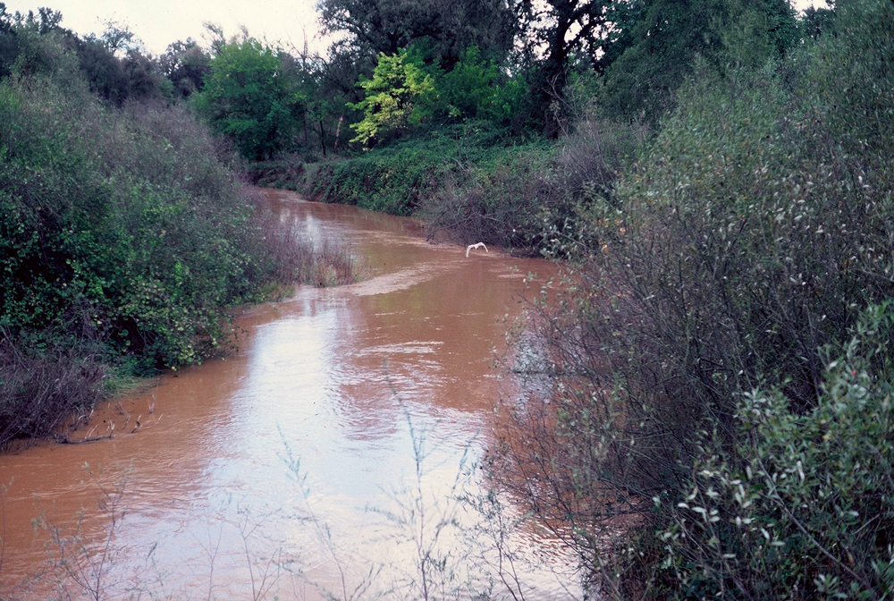 Lower Churn Creek, turbid with storm runoff