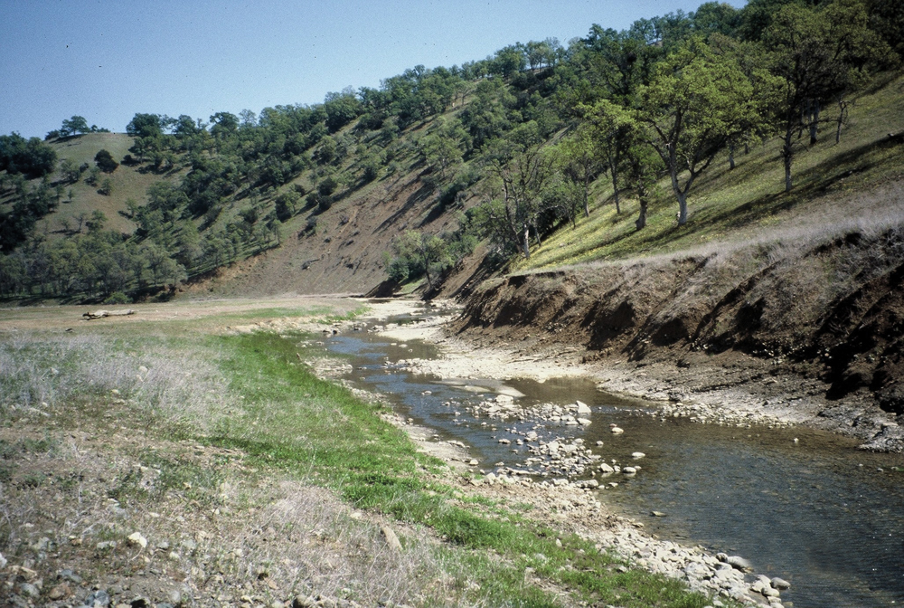 Intermitant tributary flow in upper Stony Creek
