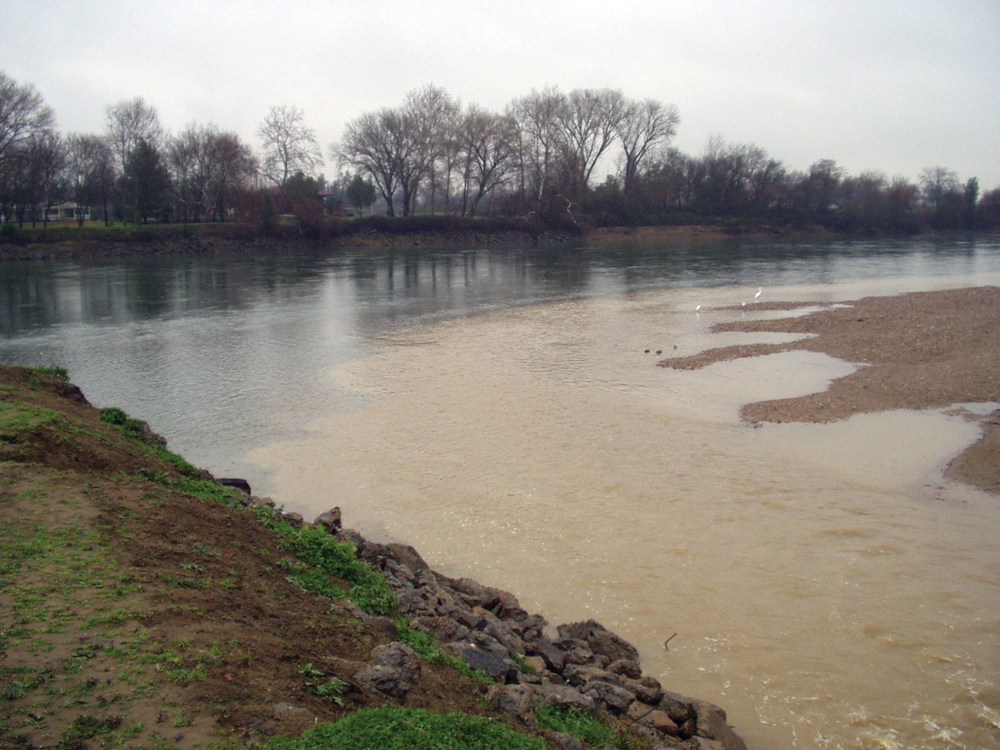 Turbidity from Reeds Creek into Sacramento River