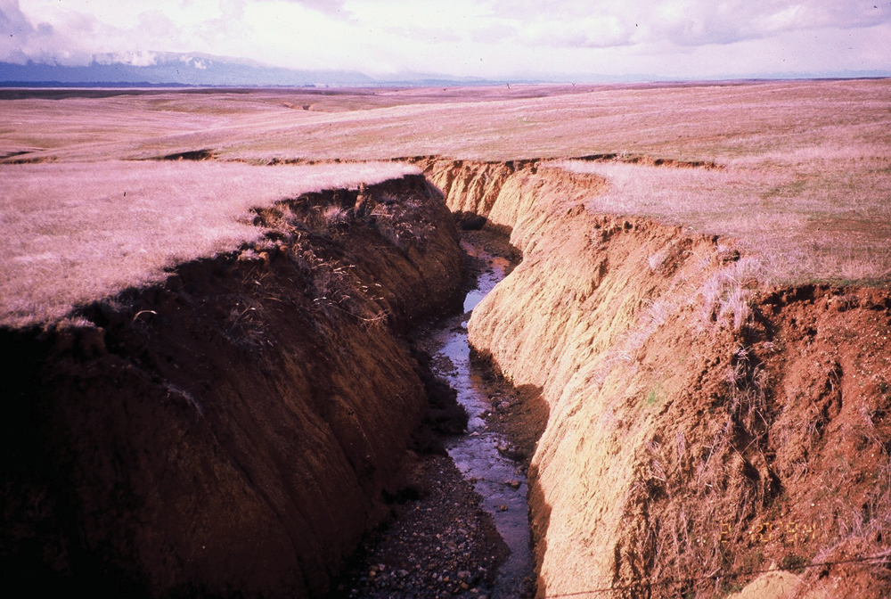 Erosion on ephemeral drainage