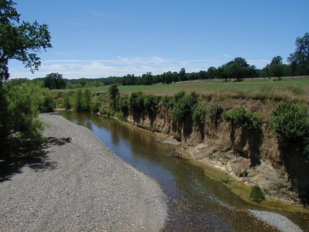 Red Bank Creek erosion