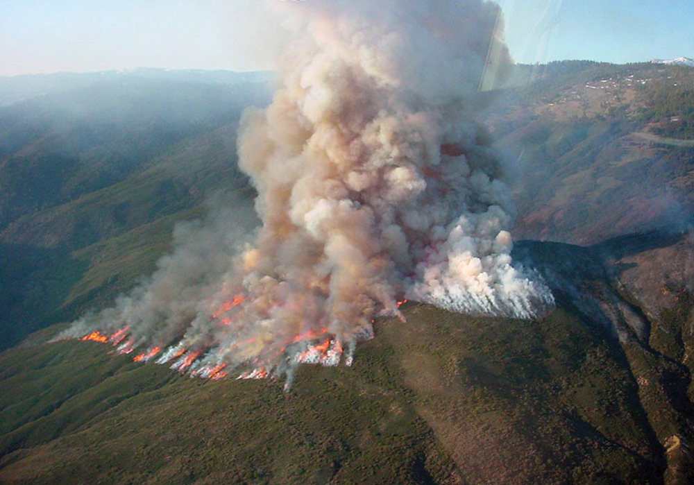 Controlled burn in Mendocino National Forest