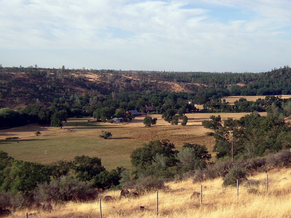 Tehama East ranch setting