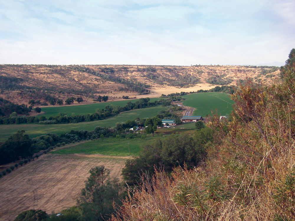 Paynes Creek ranch and pasture land