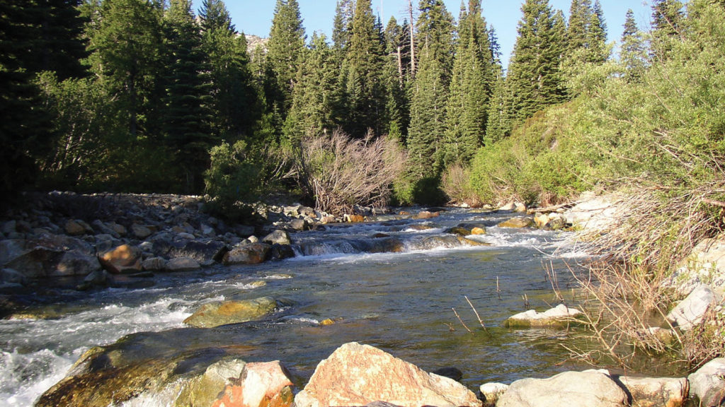 Jamison Creek near Plumas-Eureka State Park
