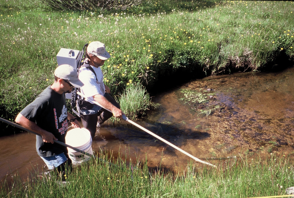 Monitoring fish populations in Clarks Creek