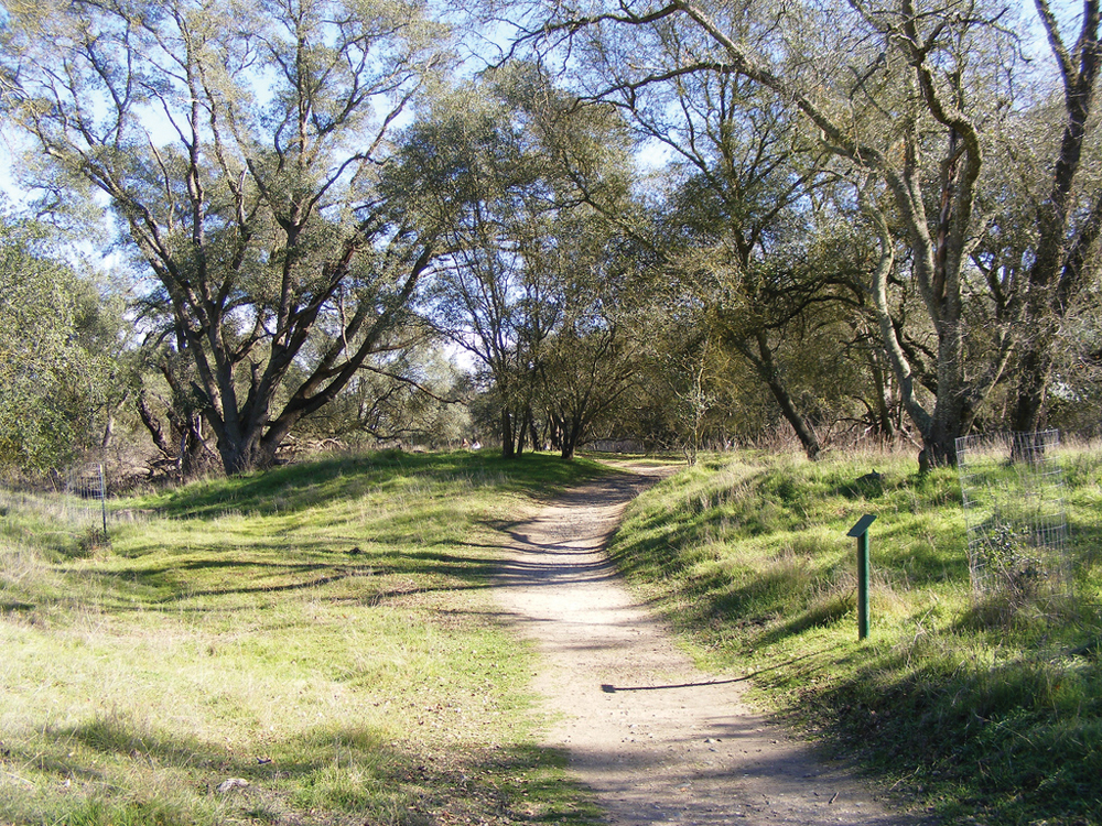 Trail at Effie Yeaw Nature Center