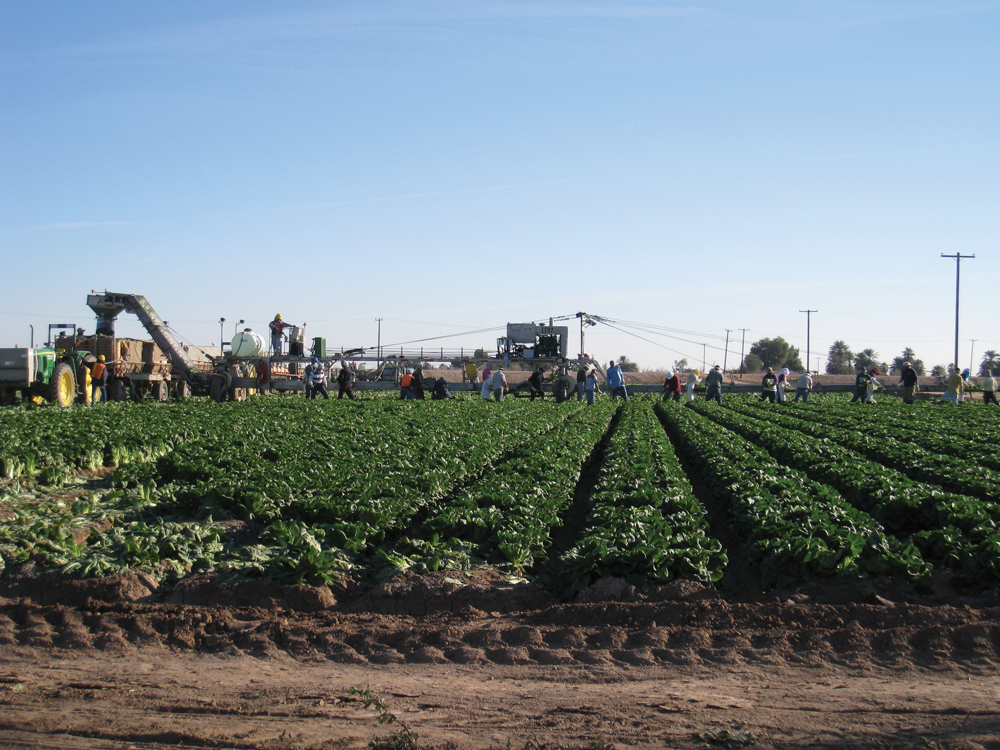 Central Valley agriculture